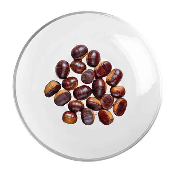Horse Chestnut